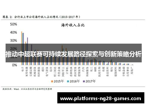 推动中超联赛可持续发展路径探索与创新策略分析