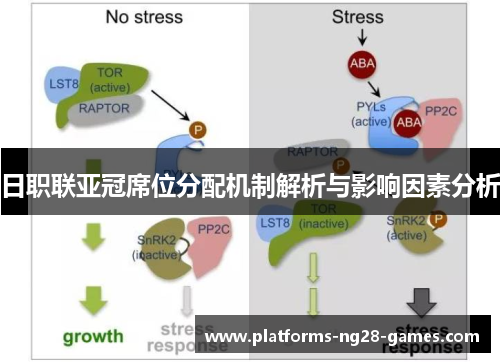 日职联亚冠席位分配机制解析与影响因素分析