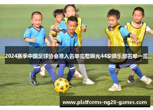 2024赛季中国足球协会准入名单完整曝光44家俱乐部名单一览