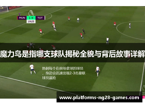 魔力鸟是指哪支球队揭秘全貌与背后故事详解