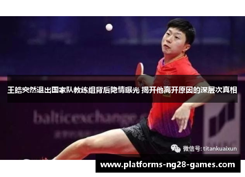 王皓突然退出国家队教练组背后隐情曝光 揭开他离开原因的深层次真相 王皓突然退出国家队教练组背后隐情曝光 揭开他离开原因的深层次真相